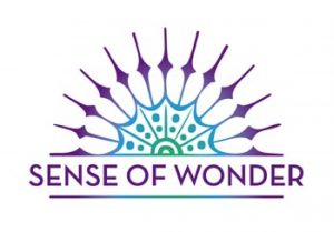 احساسی که لوگو کسب وکارتان ایجاد می کند مهم است